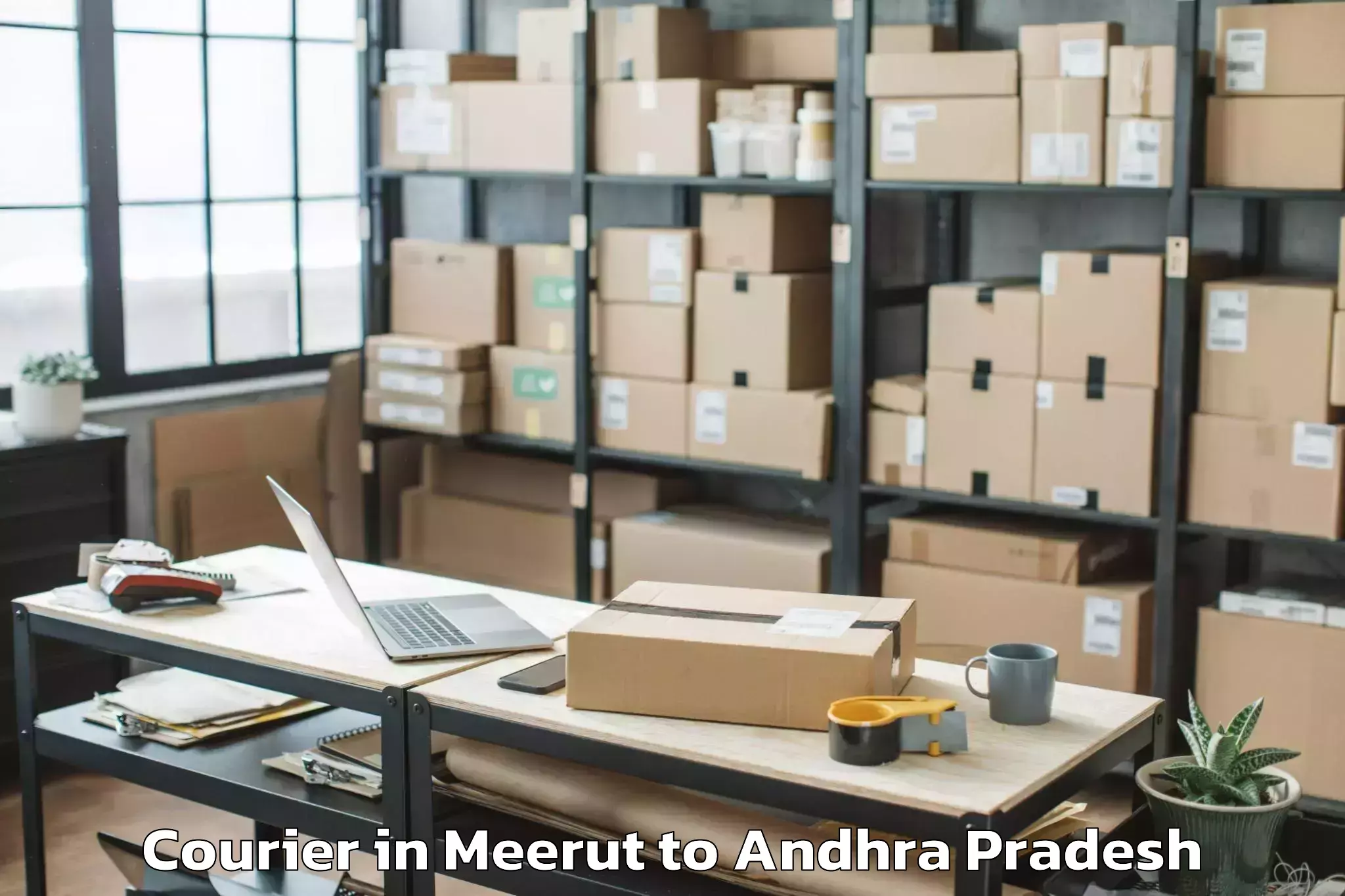 Easy Meerut to Pamidimukkala Courier Booking